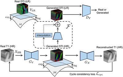 Manifold-aware synthesis of high-resolution diffusion from structural imaging